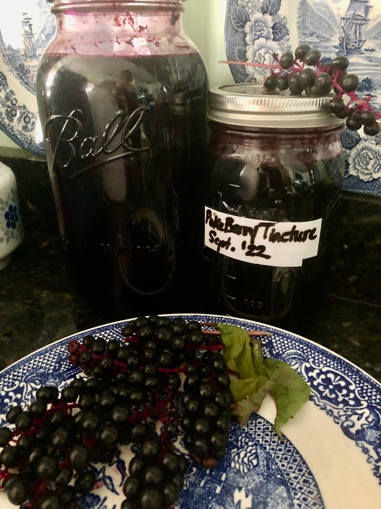 Wildcrafted Poke Berry Juice Fermented Herbal Tincture *1~4 oz Dropper Bottle