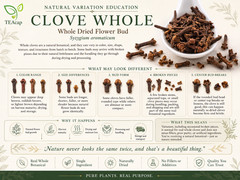 Clove | Whole Buds or Powdered | 1/4/8oz Sizes | Natural Digestive & Oral Health