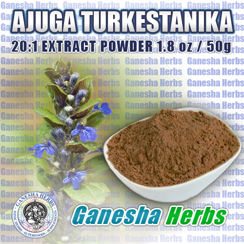 100% PURE AJUGA TURKESTANICA HIGH POTENCY 20:1 EXTRACT 50 grams