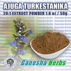 100% PURE AJUGA TURKESTANICA HIGH POTENCY 20:1 EXTRACT 50 grams