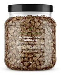 Moringa Oleifera Seeds WINGLESS Fresh Organic Semillas de Moringa Bulk Wholesale