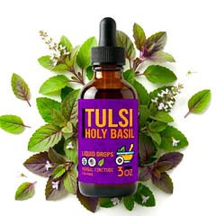 Tulsi Holy Basil Extract – Tulsi Tincture – Liquid Drops – Drink Mix – DXL – USA