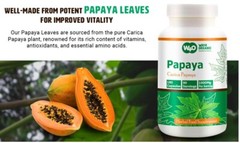 Papaya Leaf Extract Capsules – 180 Pills, 90 Servings, 1000 mg