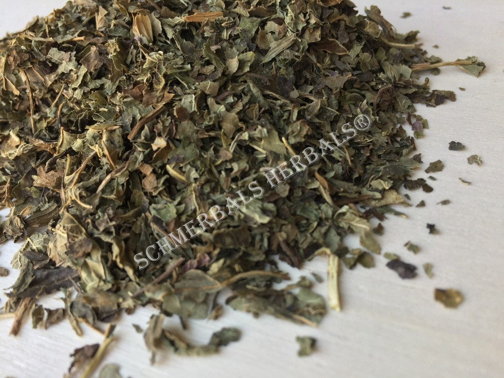 Lemon Balm, Melissa officinalis ~ Schmerbals Herbals