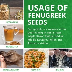 Jiva Organic Fenugreek Seeds 7 Ounce Non-GMO Gluten Free All Natural