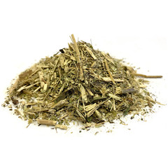 Boneset Herb (Eupatorium perfoliatum) NY Herb Premium Quality FREE SHIP