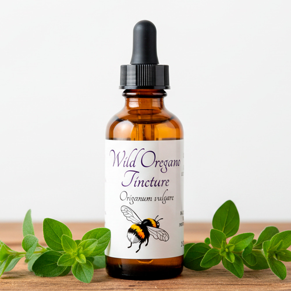 Oregano Tincture, Wild Organic Origanum Vulgare Herbal Extract