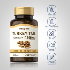 Turkey Tail Mushroom Capsules | 1200mg | 200 Count | Non-GMO | by Piping Rock