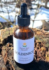 Goldenrod Herbal Extract, Bladder, Respiratory, Digestive Fresh Organic Tincture