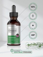 Horbaach Echinacea Drops Herb Tincture | 2 fl oz | Super Concentrated Root Extra