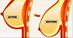 BUST & BUTT WOMEN BREAST & BUTT Herbal & Natural 60 Pills
