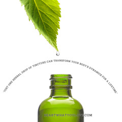 Dandelion Leaf Tincture Pure Liquid Herbal Drops for Liver & Digestive Aid 2oz