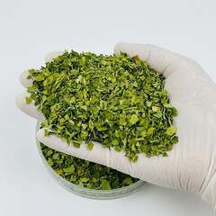 Ceylon Moringa Leaves Whole Dried Natural Moringa Oleifera Herbal Leaf
