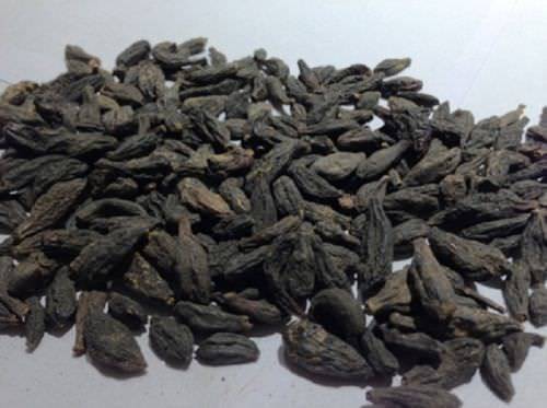 HARITAKI BLACK CHEBULIC MYROBALAN TERMINALIA CHEBULA HARDA – Free Shipping