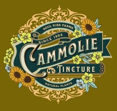 Chamomile Extract Chamomile Tincture Relax Insomnia Sleep Aid 2oz USA