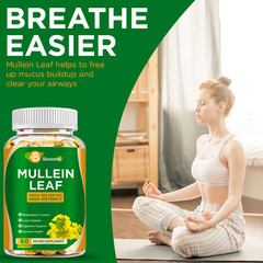 Mullein Leaf Capsules For Lung Cleansing & Detox Herbal Dietary Supplement