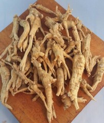 American Ginseng Root Extract 5:1 Powder | 2.5oz to 5lb | 100% Pure Hand Crafted