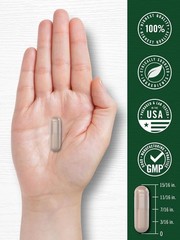 Horse Chestnut Capsules Extract | 600mg | 180 Count | Non-GMO | by Carlyle