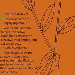 Mugwort Tincture | Organic Artemisia vulgaris | Parasite Cleanse | Small Batch