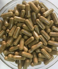 Pygeum Bark Extract Capsules 30:1 High quality Support healthy prostate