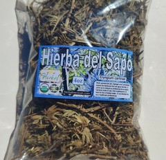Hierba del sapo, Eringo/eryngo Tea, yerba del sapo 16oz organic Mexican Herbs !!