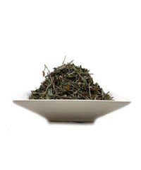 SUN OPENER Heimia salicifolia Herb ORGANIC Pesticide Free Lucid, Vidid Dreaming