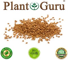 Fenugreek Seeds 5 lbs. Bulk Non-GMO Trigonella Foenum Graecum Whole Methi Seed