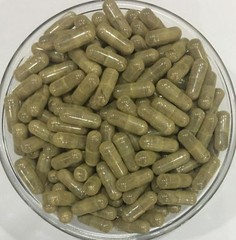Chamomile Flower Extract Capsules (Matricaria Recutita) APIGENIN For Anxiety