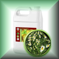 Chamomile Herbal Oil Extract