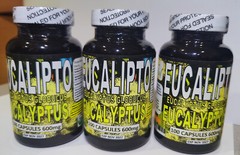 Eucalipto – eucalyptus 100 Capsules – Hojas de eucalipto Capsulas