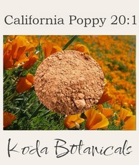 CALIFORNIA POPPY 20:1 EXTRACT Eschscholzia californica * x20 Stronger than Herb*