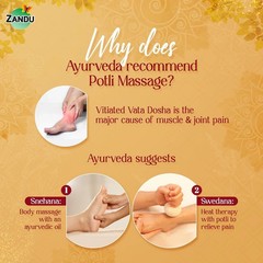 Zandu Pain Relief Potli 180g Ayurvedic Herbal Joint | Muscle Pain Therapy