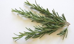 WholeSALE!! ORGANIC Rosemary Leaf PREMIUM Powder-4 oz, 1 lb.
