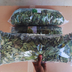 Organic Dried Insulin Plant Leaves Costus Igneus Fiery Costus Leaf Herbal Tea