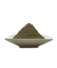 Organic Nettle ROOT POWDER (Urtica dioica) Fresh Batch (Stinging Nettle)