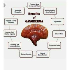 Gano Excel Excellium (Lingzhi Mycellium) 90 Capsules (EXP DATE : 07/2027)
