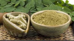 immune system – MORINGA OLEIFERA 1200MG – moringa for weight loss – 1 Bottle