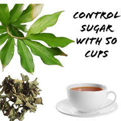 Dried Insulin Plant Leaves Cut Costus Igneus Herbal Tea Organic Pure Natural