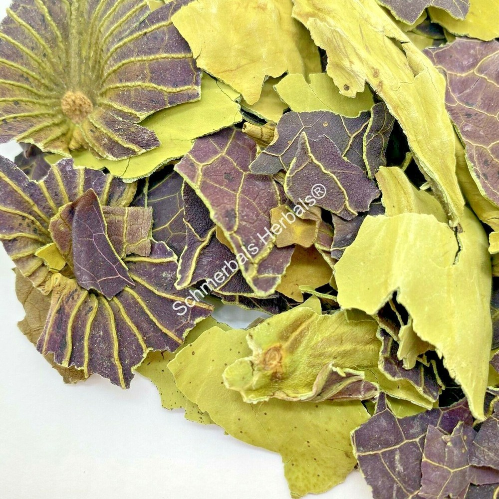 Blue Lotus, Nymphaea caerulea, Organic Leaf ~ Schmerbals Herbals