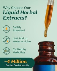 Osha Root Liquid Extract for Respiratory Support – 1 Ounce