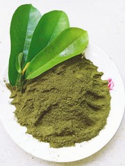 Organic Soursop Leaves Powder 100% Pure Natural Herbal Green Graviola Guyabano