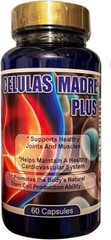 Celulas Madre Plus Supports Joint & Muscles Stem Cell Inmune Control 60 Capsules