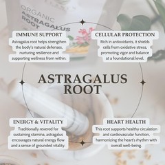 Organic Astragalus Root 4 oz. 113g, USDA Certified Organic Astragalus Membran…