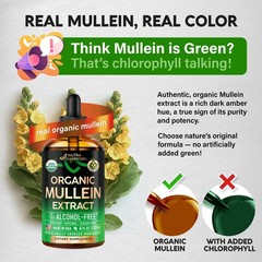 Organic Mullein Drops for Lungs – 4 oz Liquid Extract for Respiratory Health & L