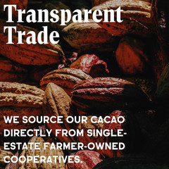 Chocolate Organic Cacao Powder – Unsweetened, Non-Alkalized, Perfect for Baking,