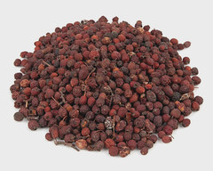 Hawthorn Berry Whole Wildcrafted ~ Freshly Packed USA Free Ship