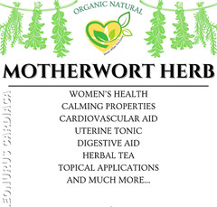 Motherwort Tincture 2oz | Alcohol-Free Gut & Calm Aid Natural Liquid Herbal Drop