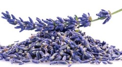 Lavender Flower | Whole or Powder | Natural Herb Calm & Digestive Aid | 1/4/8 OZ