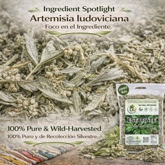 ESTAFIATE TE, Mugwort Herbal Tea 4oz (114gr) Estafiate Te | Artemisia ludovician