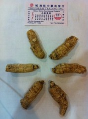 Ginseng from Wisconsin USA 7 1/2 years 1LB